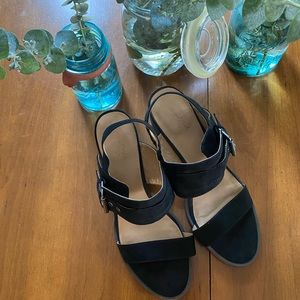 Universal Thread Sandal